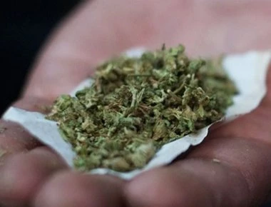 Yπάλληλος βουλευτή του ΣΥΡΙΖΑ συνελήφθη με μεγάλη ποσότητα κάναβης!